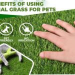 Benefits Of Using Artificial Grass For Pets